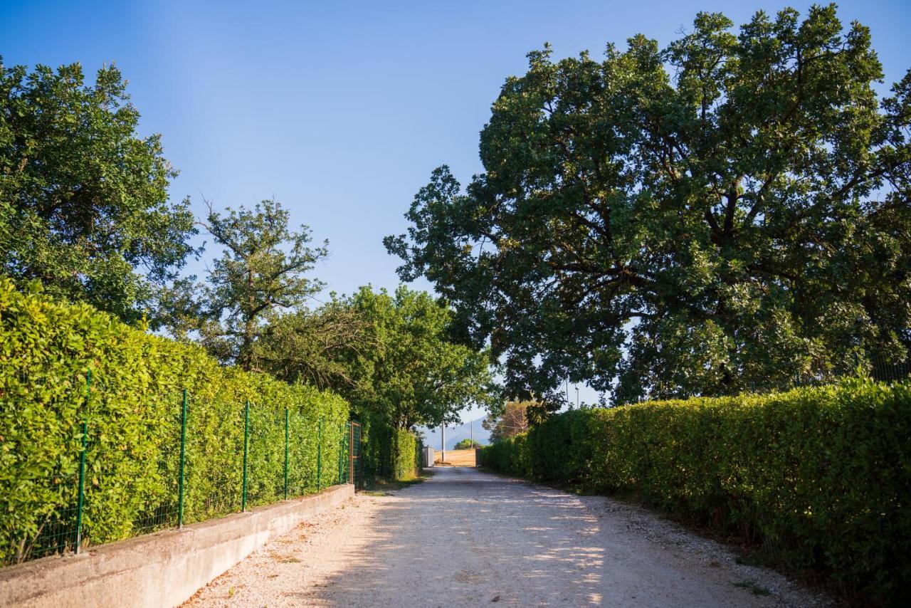 Le Colonne Bed and Breakfast Cassino Eksteriør billede